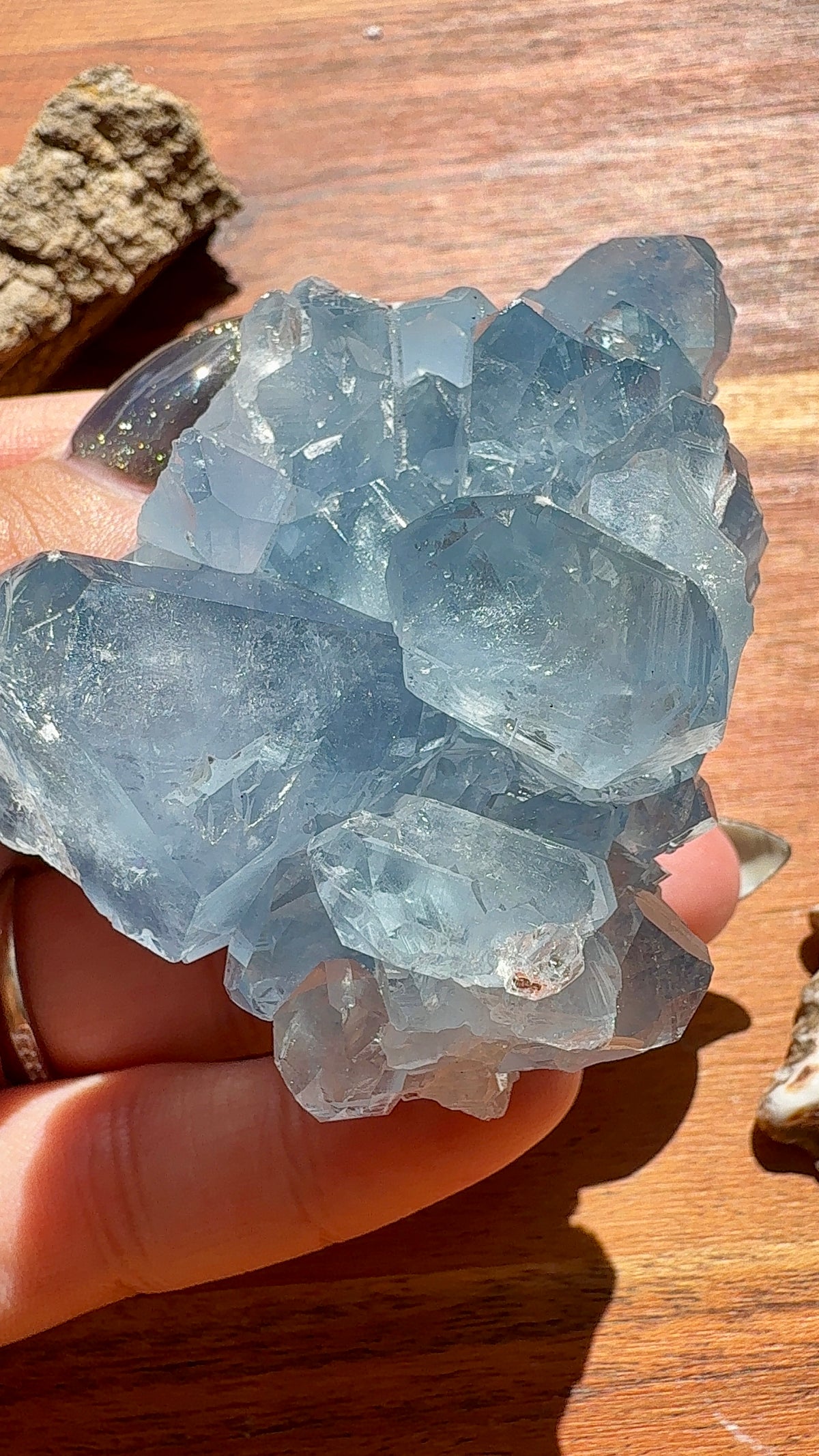 RAW CELESTITE CLUSTER
