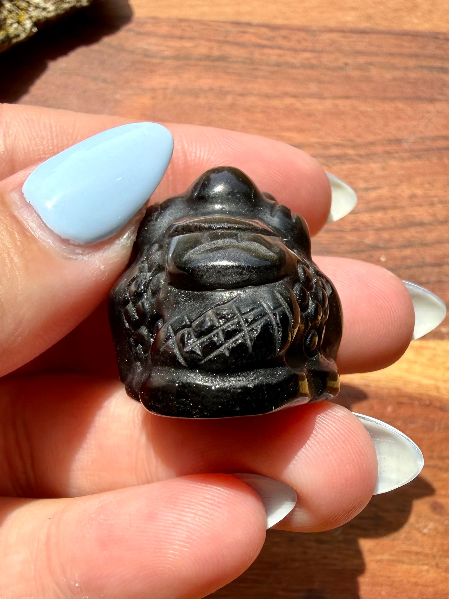 SILVER SHEEN OBSIDIAN MONEY TOAD