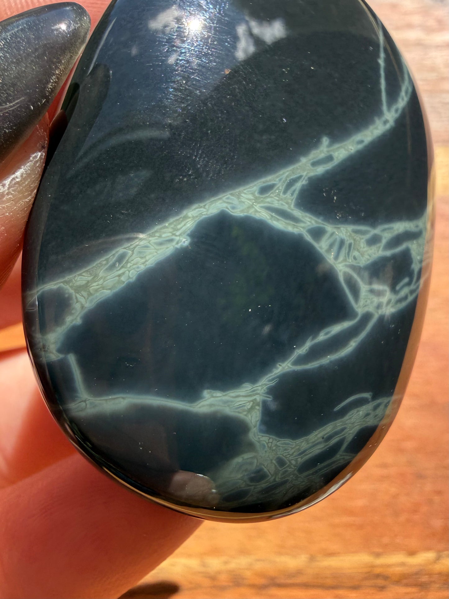 SPIDERWEB OBSIDIAN PALM STONE