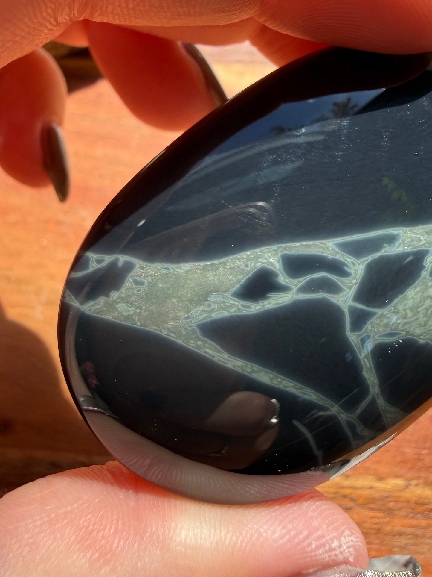 SPIDERWEB OBSIDIAN PALM STONE