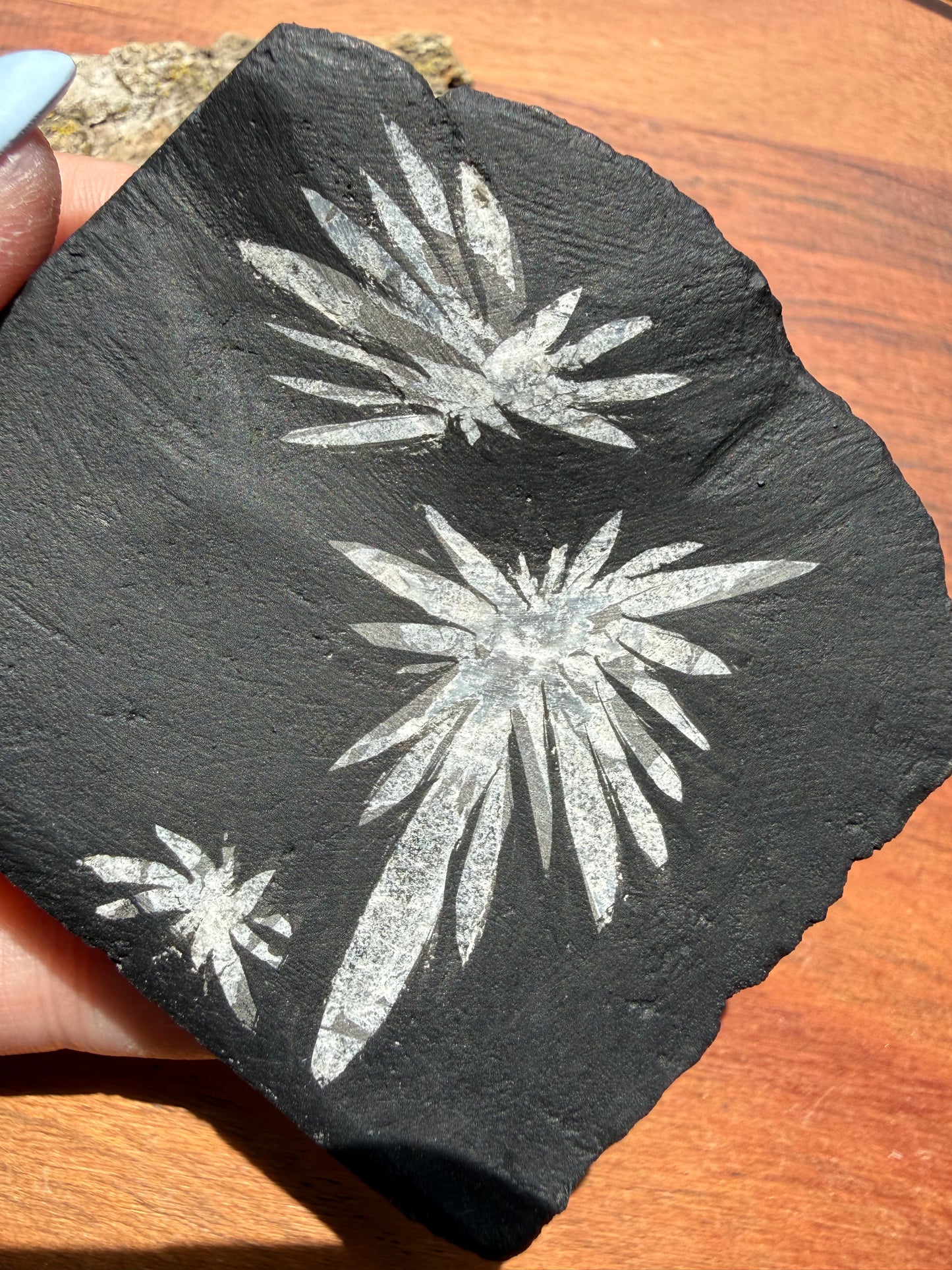 CHRYSANTHEMUM STONE FREEFORM