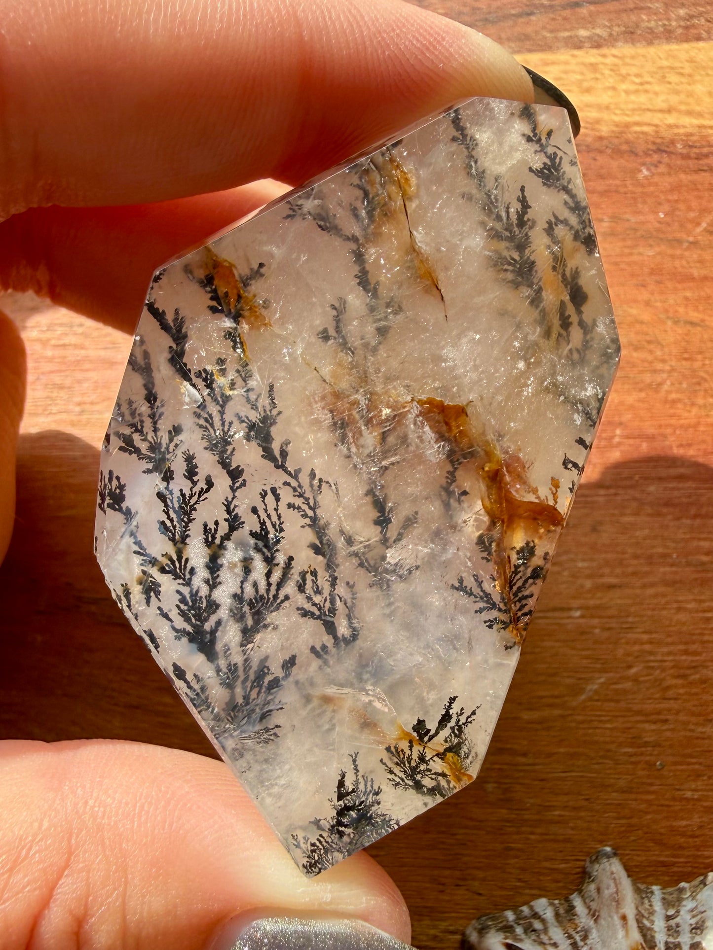 DENDRITIC QUARTZ FREEFORM