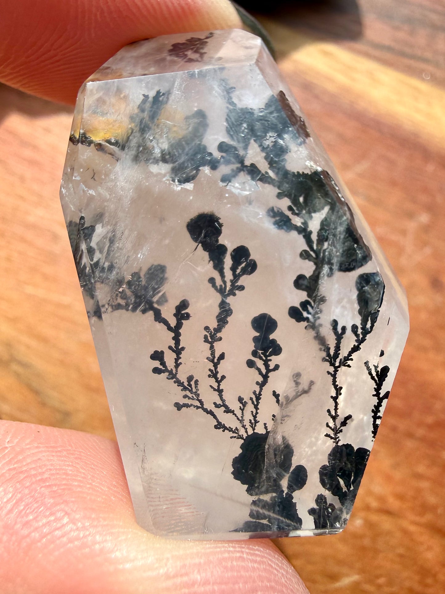DENDRITIC QUARTZ FREEFORM