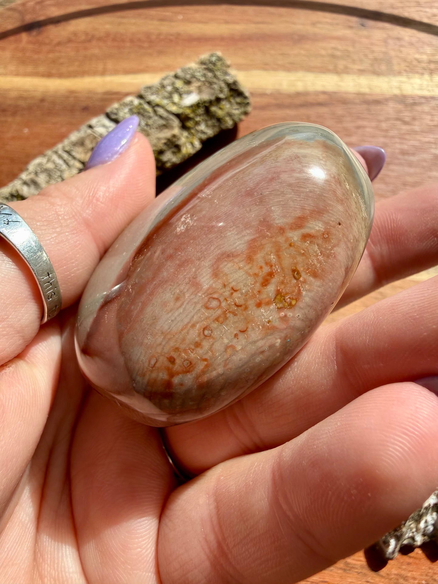POLYCHROME JASPER PALM STONE