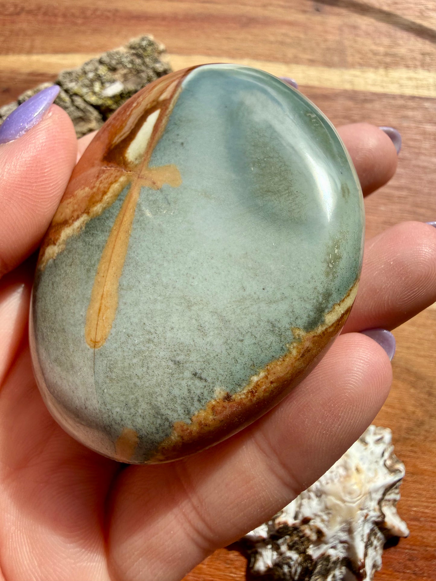 POLYCHROME JASPER PALM STONE