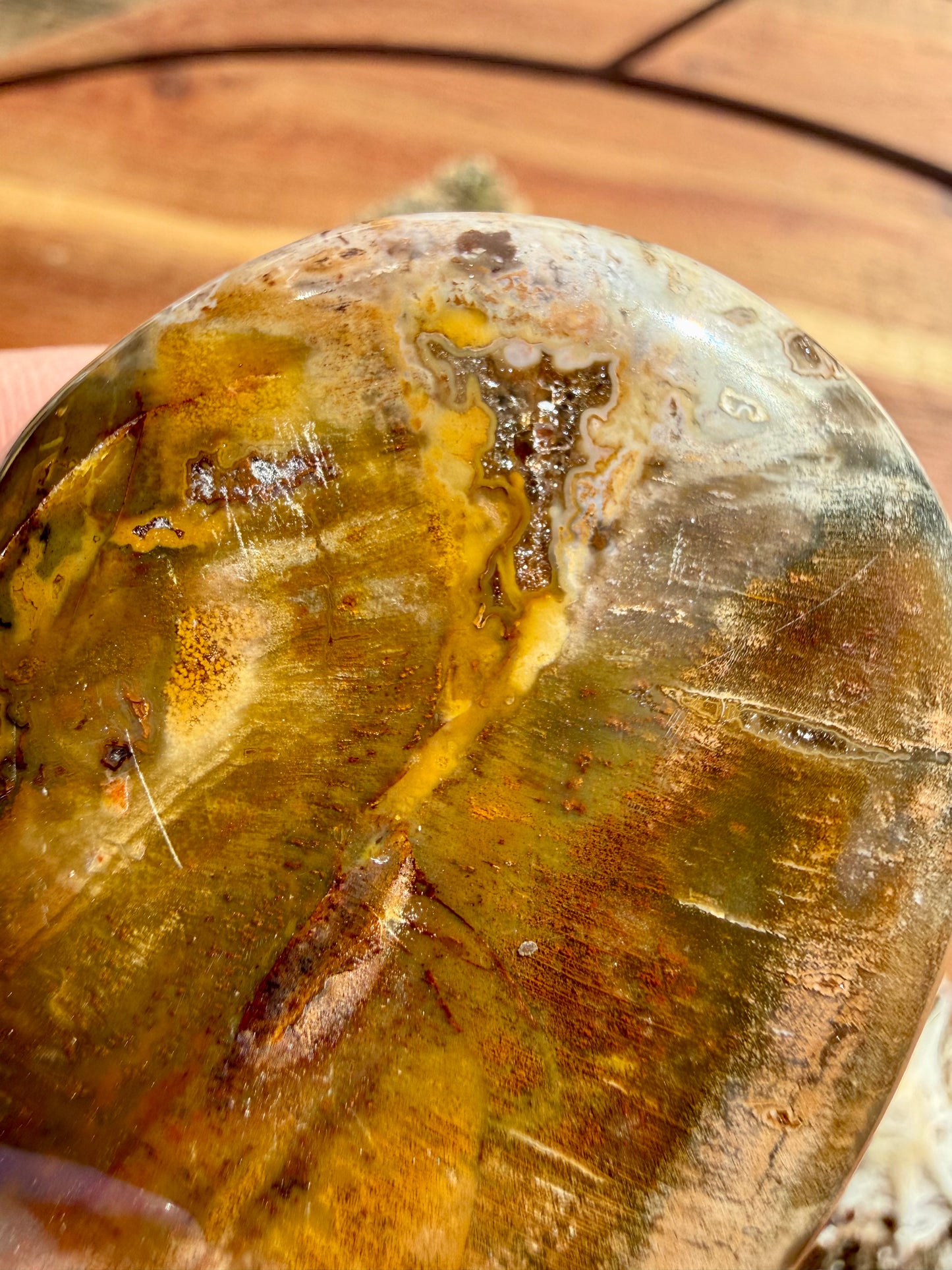 PETRIFIED WOOD PALM STONE