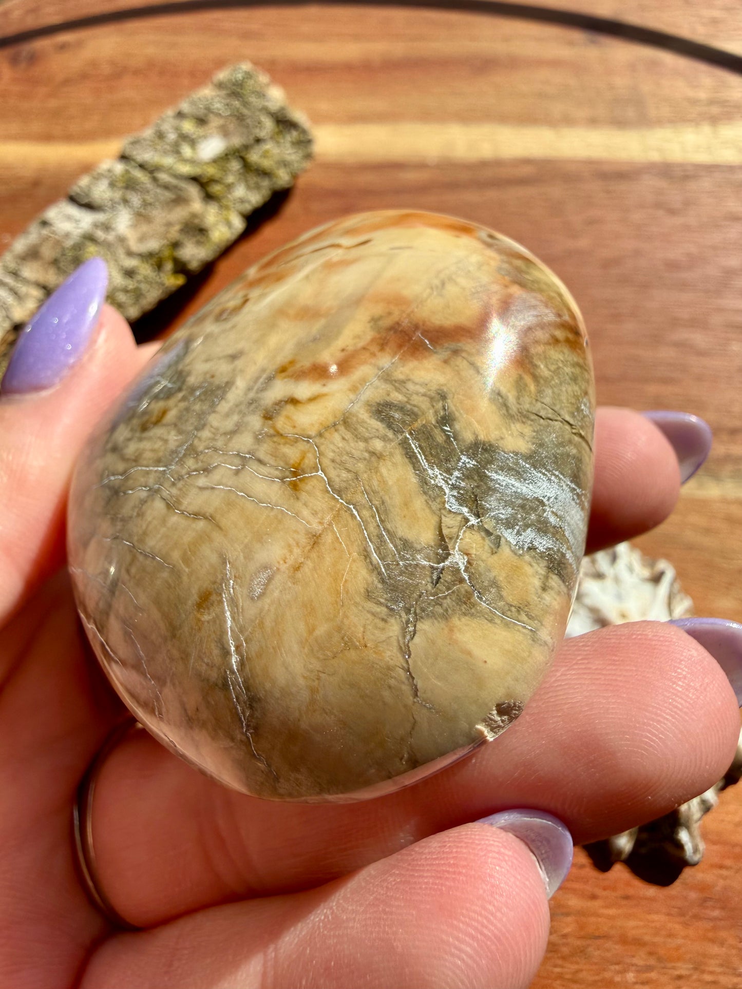 PETRIFIED WOOD PALM STONE