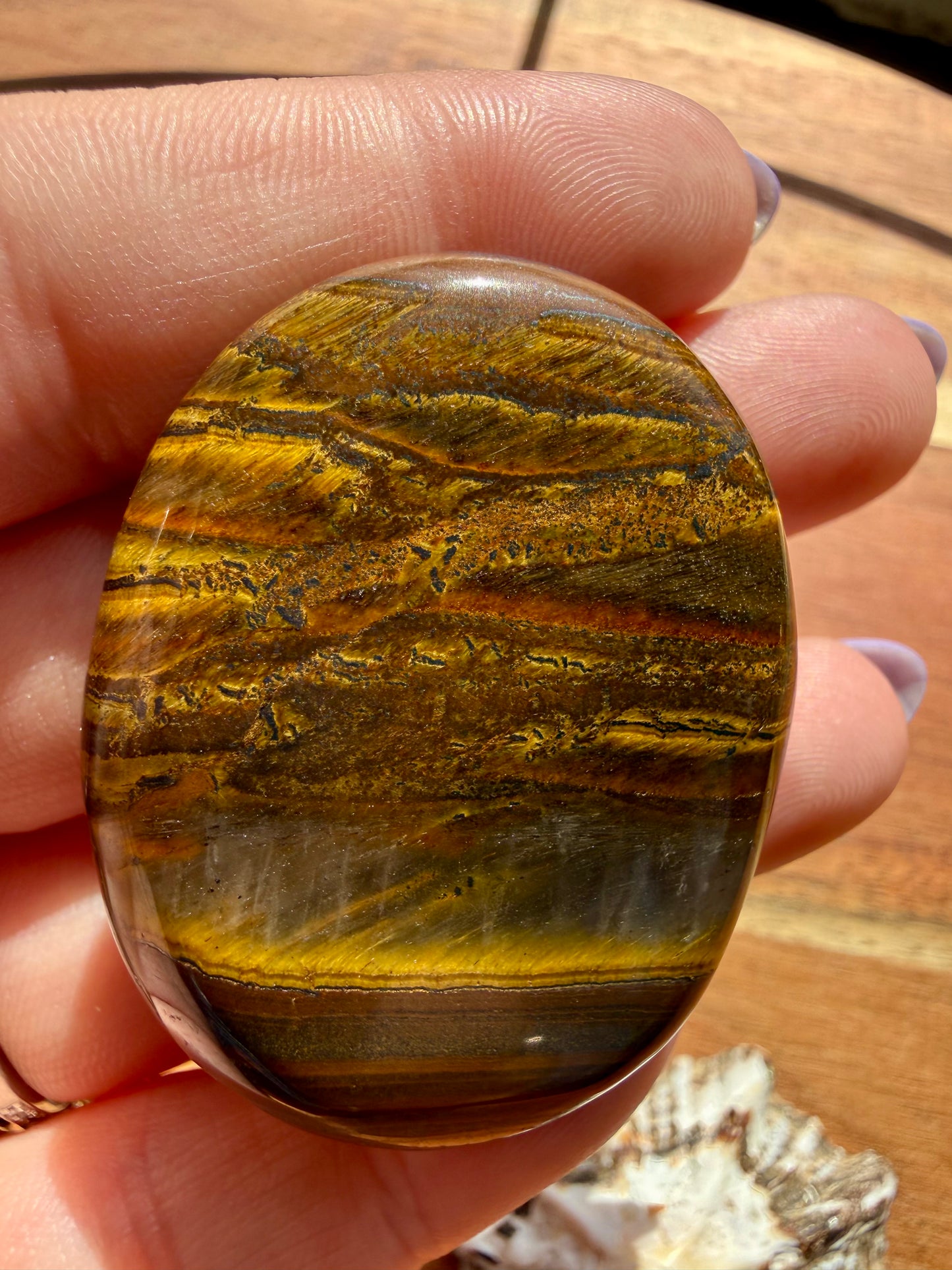 TIGER IRON PALM STONE