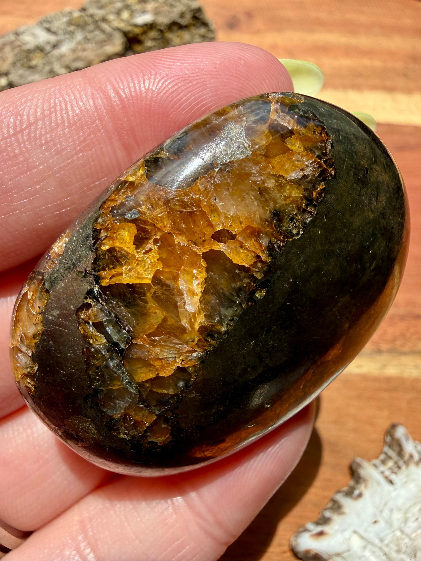 PYRITE + GOLDEN HEALER PALM STONE