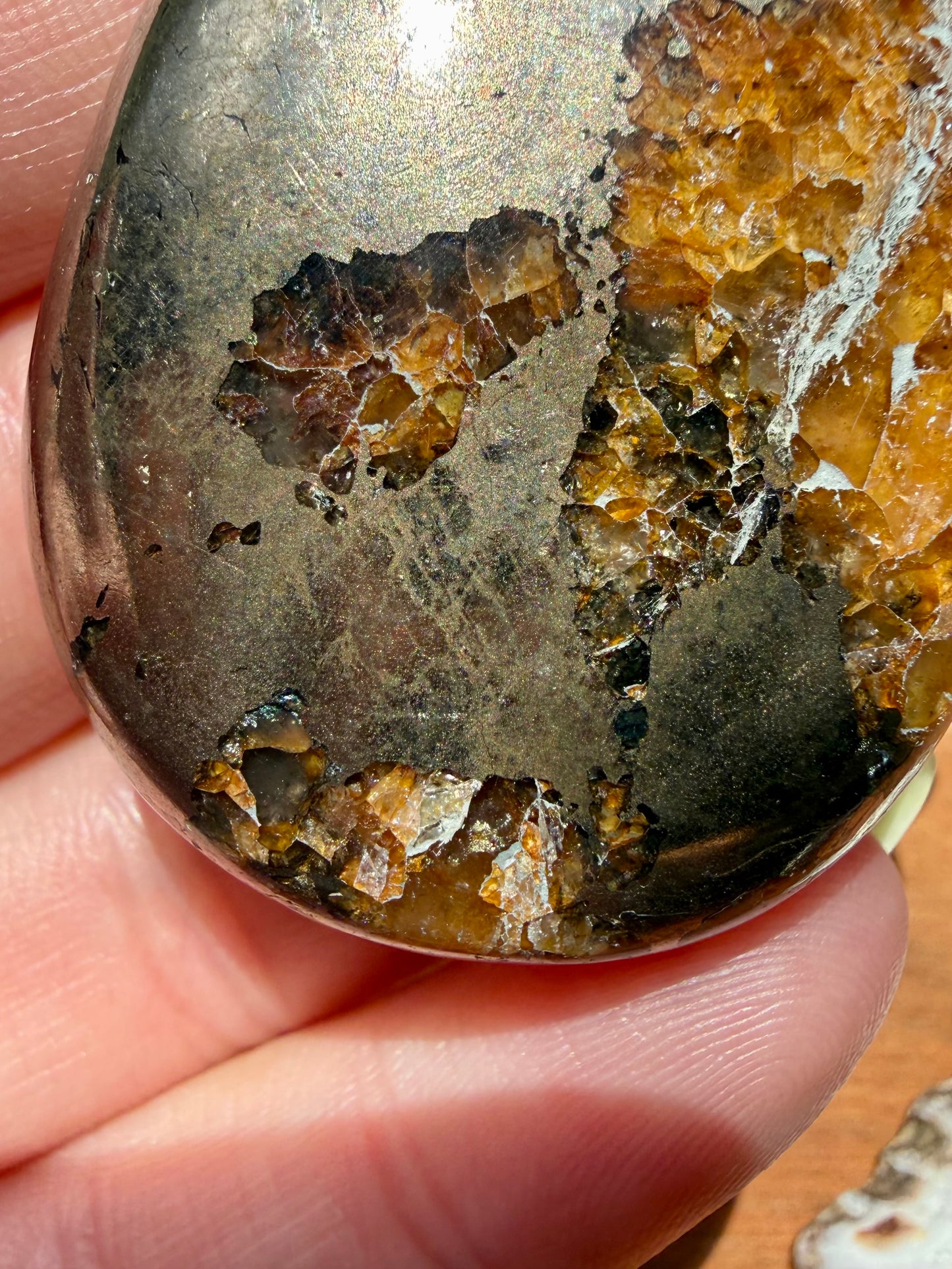 PYRITE + GOLDEN HEALER PALM STONE