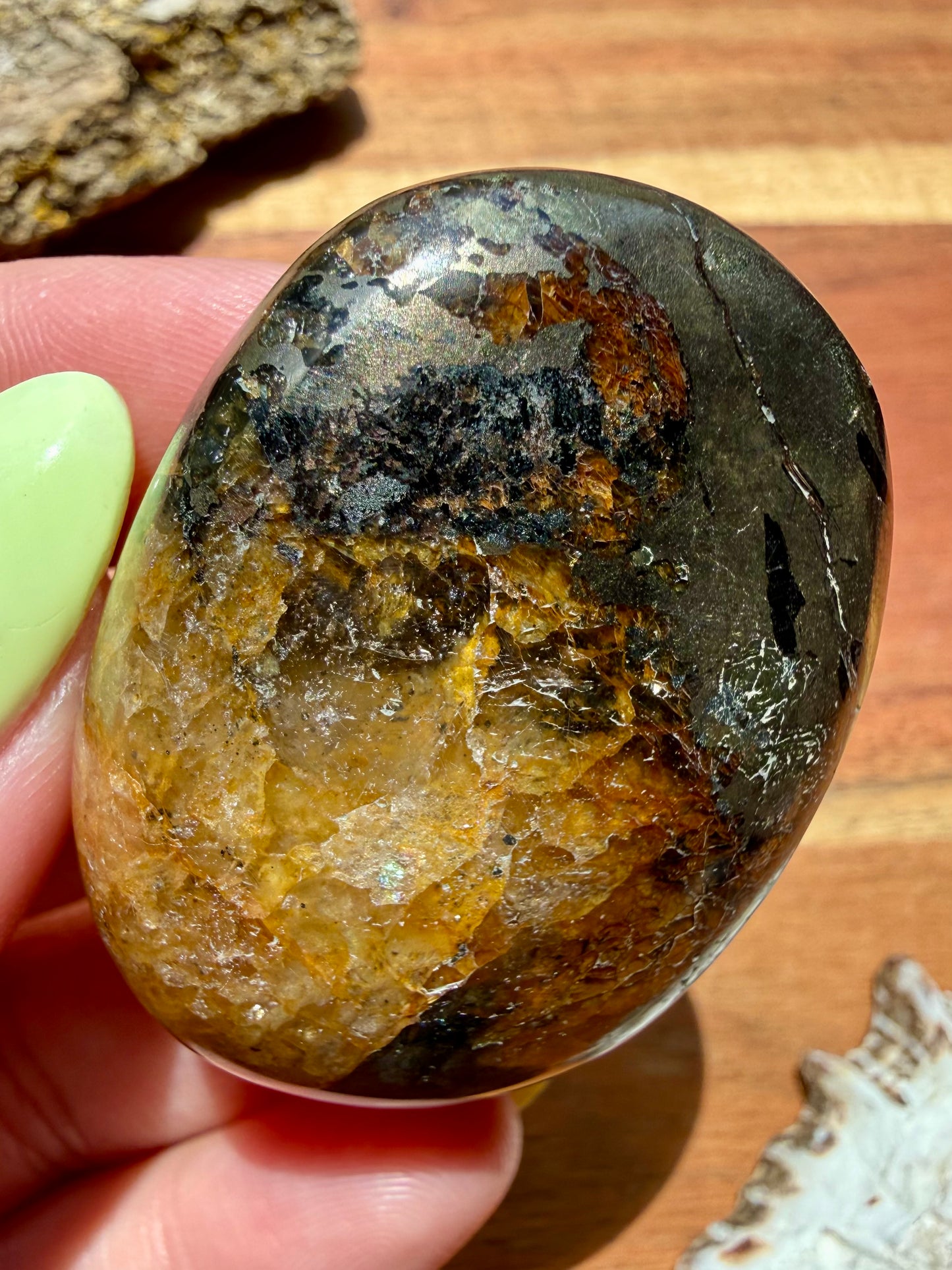 PYRITE + GOLDEN HEALER PALM STONE