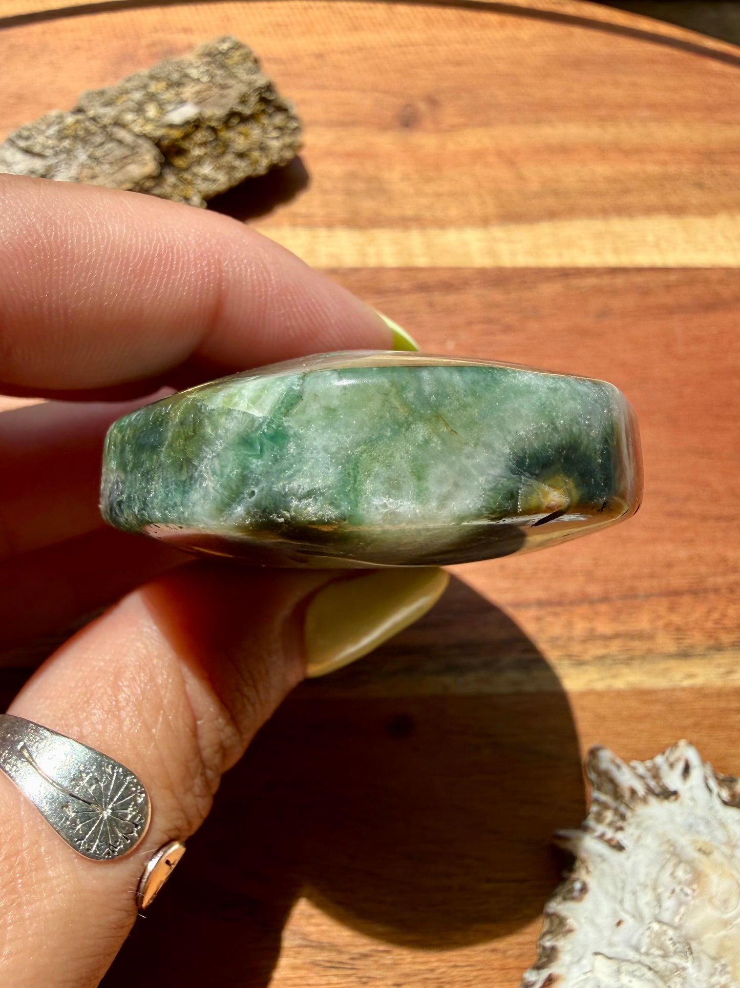 OLD STOCK OCEAN JASPER PALM STONE