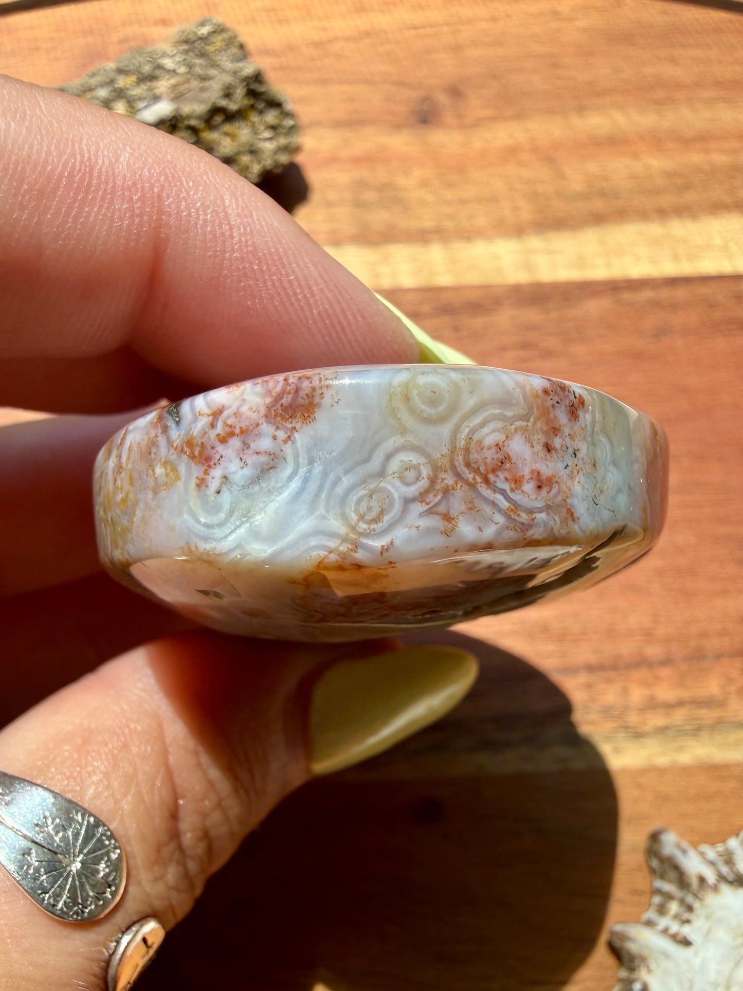 OLD STOCK OCEAN JASPER PALM STONE