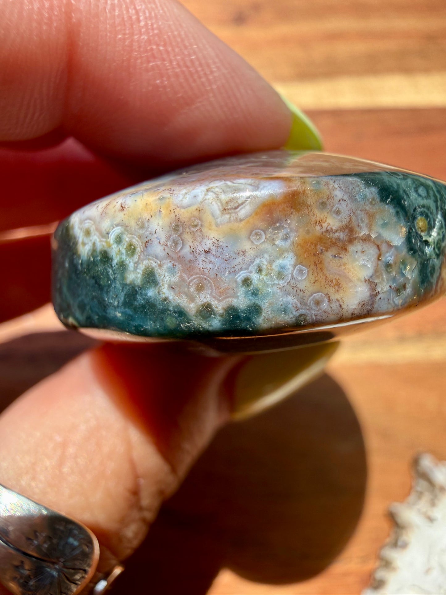 OLD STOCK OCEAN JASPER PALM STONE