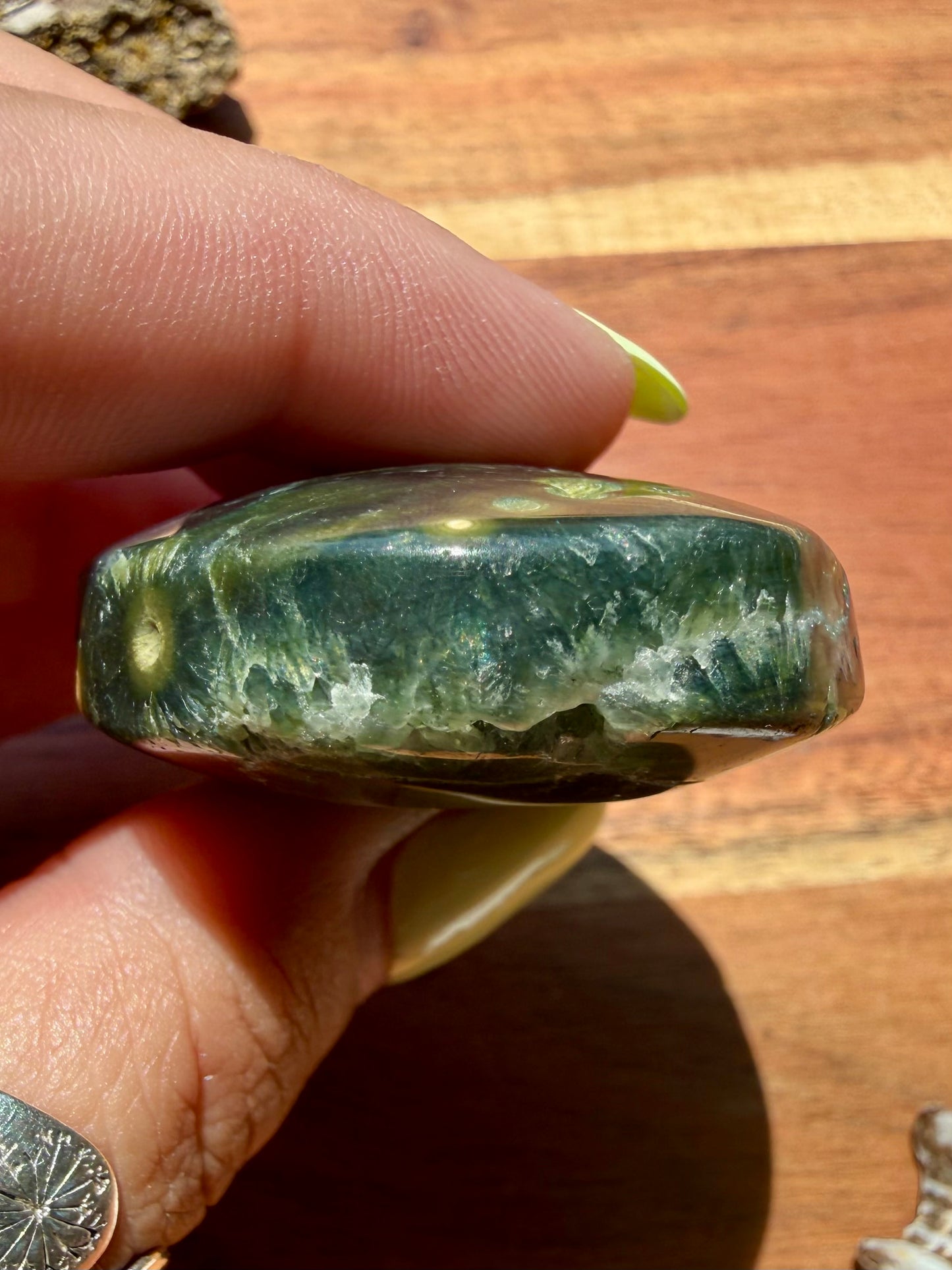 OLD STOCK OCEAN JASPER PALM STONE