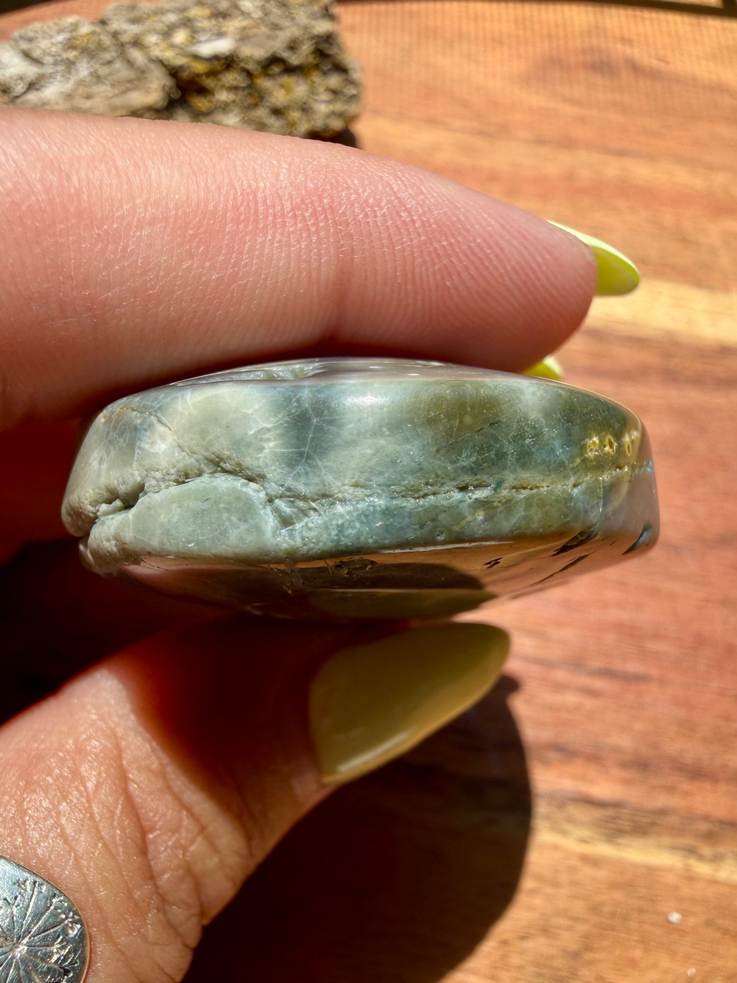 OLD STOCK OCEAN JASPER PALM STONE