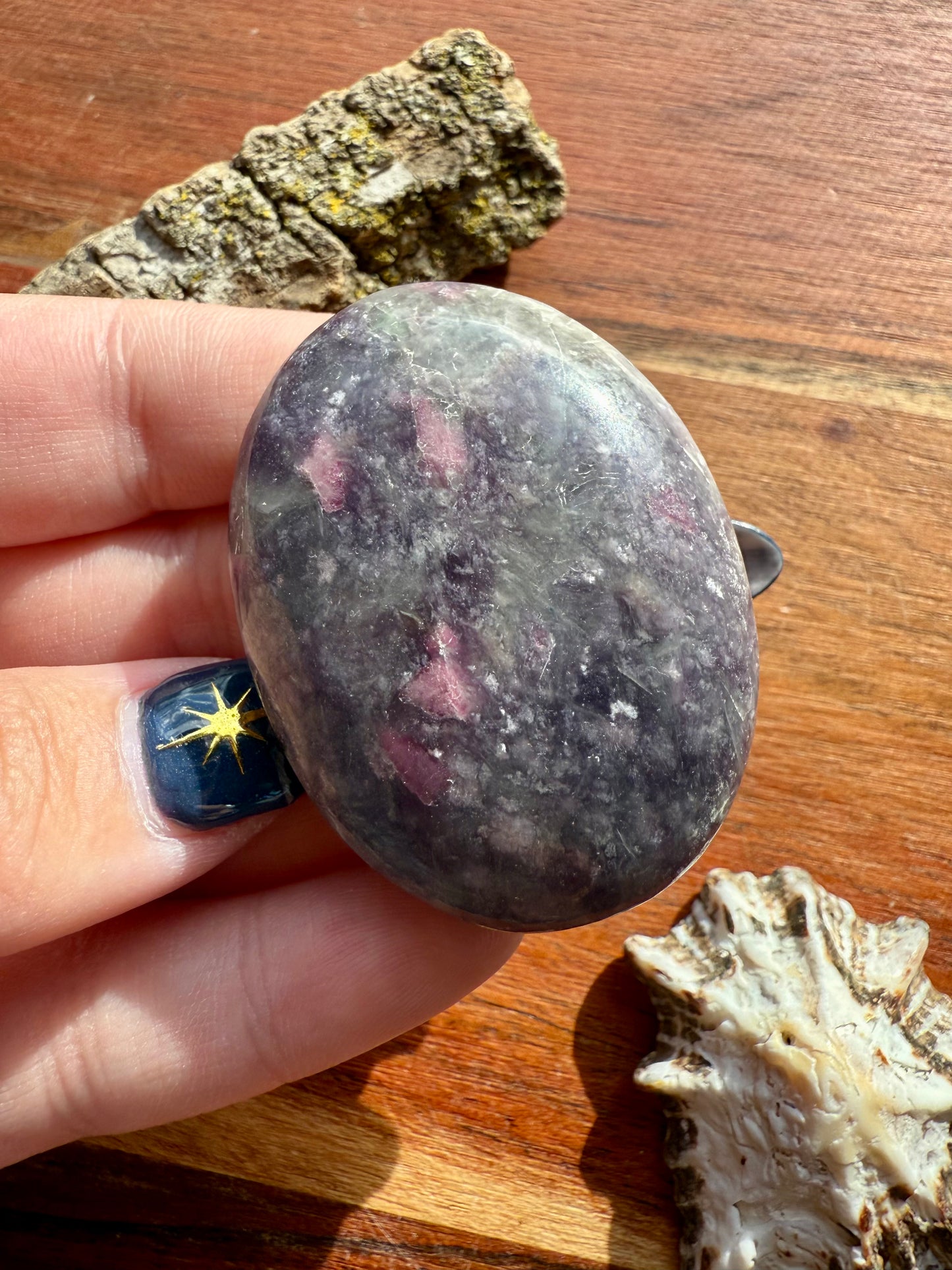 UNICORN STONE PALM STONE