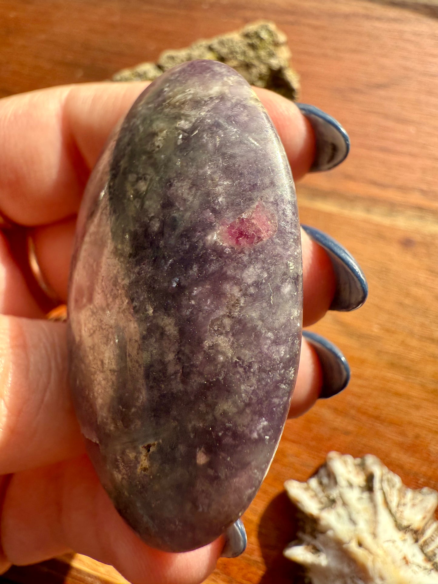 UNICORN STONE PALM STONE