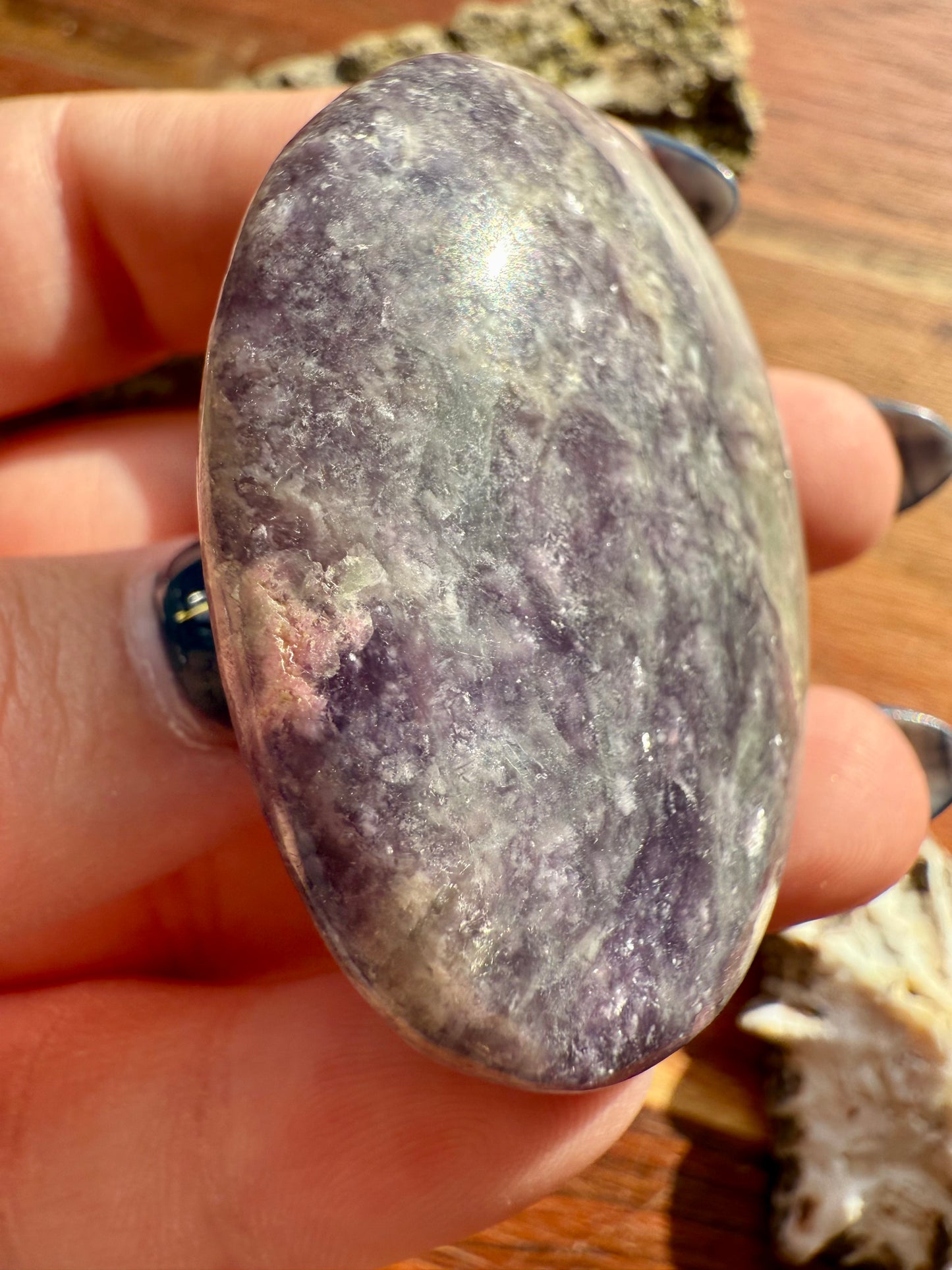 UNICORN STONE PALM STONE