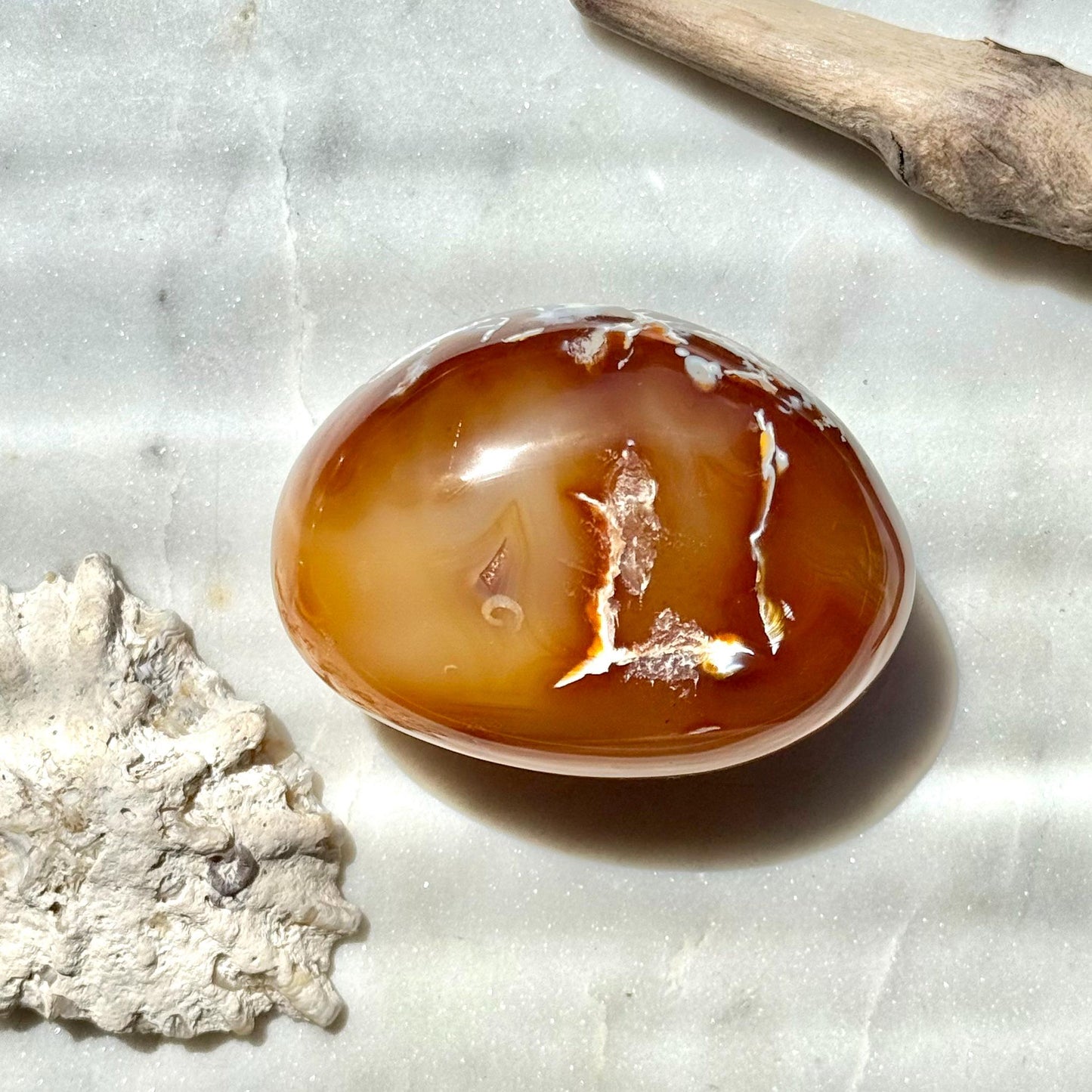 Carnelian Orca Agate Palm Stone || Carnelian Orca Agate || Gift for Crystal Lover || Orca Agate Palm || Crystal Palm Stone || Crystal Gift