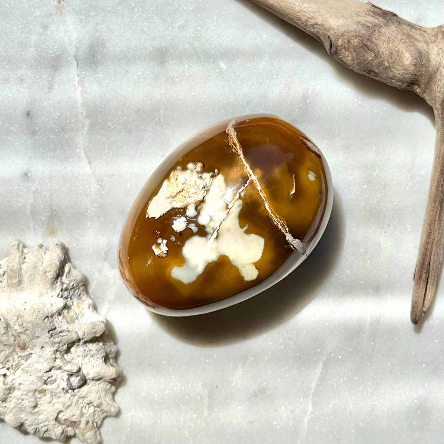 Carnelian Orca Agate Palm Stone || Carnelian Orca Agate || Gift for Crystal Lover || Orca Agate Palm || Crystal Palm Stone || Crystal Gift