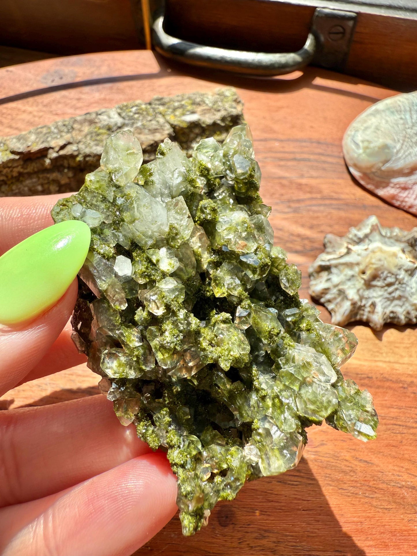 High Quality Epidote and Quartz Free Form || Epidote and Quartz || Forest Fairy Quartz || Raw Crystal || Sparkly Crystal