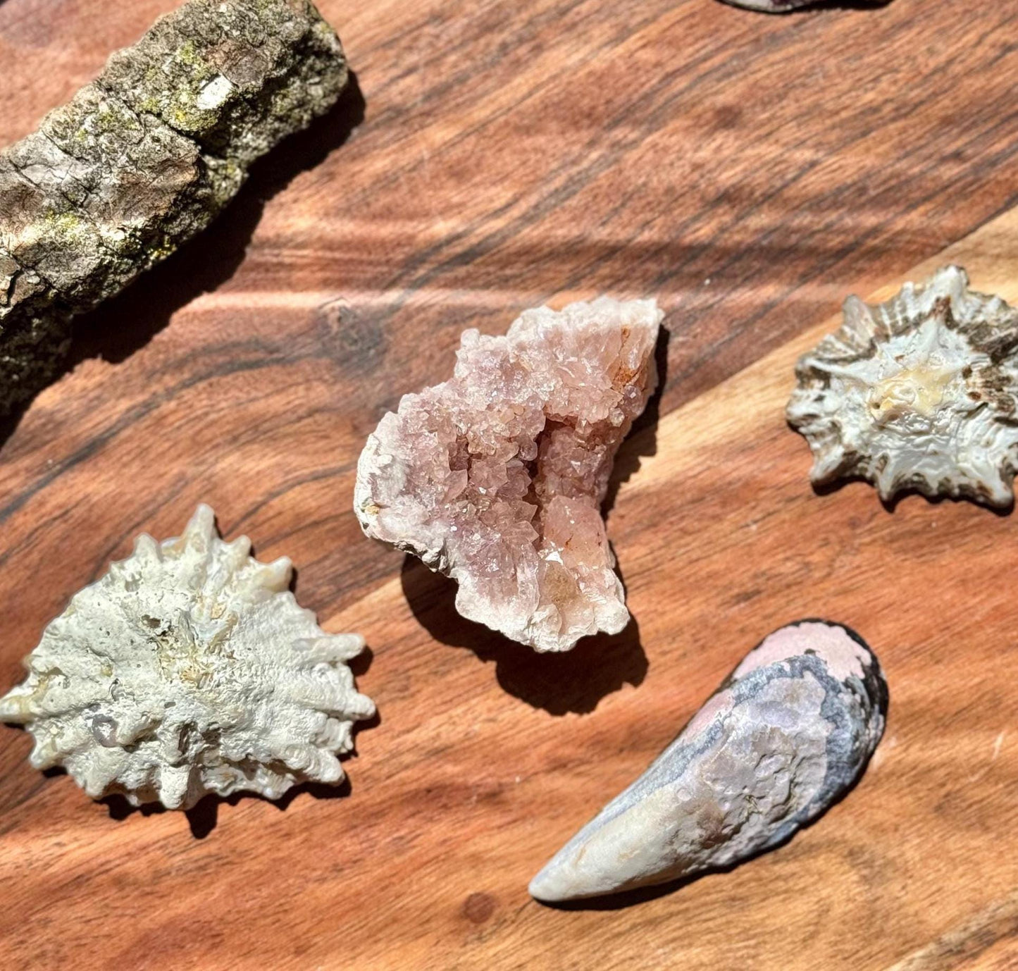 Pink Amethyst Cluster || Pink Amethyst Geode || Pink Amethyst || Raw Crystal Cluster || Crystal Geode || Pink Crystal || Crystal Lover Gift