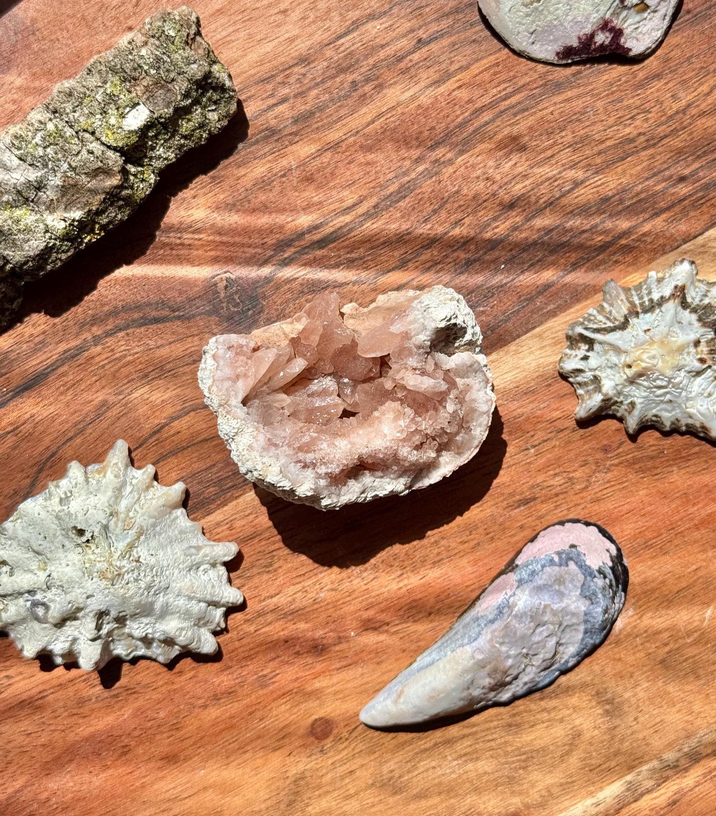 Pink Amethyst Cluster || Pink Amethyst Geode || Pink Amethyst || Raw Crystal Cluster || Crystal Geode || Pink Crystal || Crystal Lover Gift