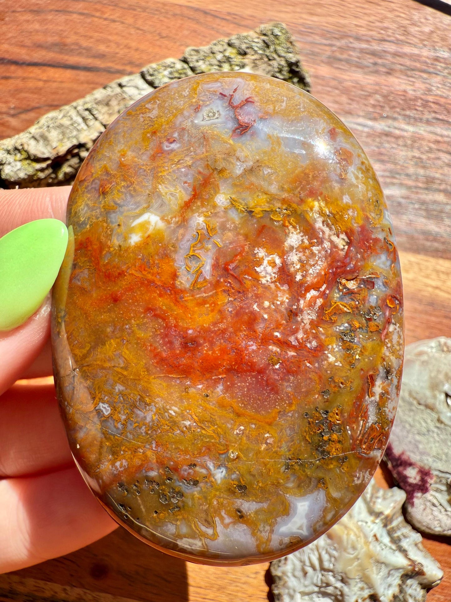 High Quality Agua Nueva Agate Palm Stone | Gift for Crystal Lover | Soothing Crystal | Grounding Crystal | Crystal Gift