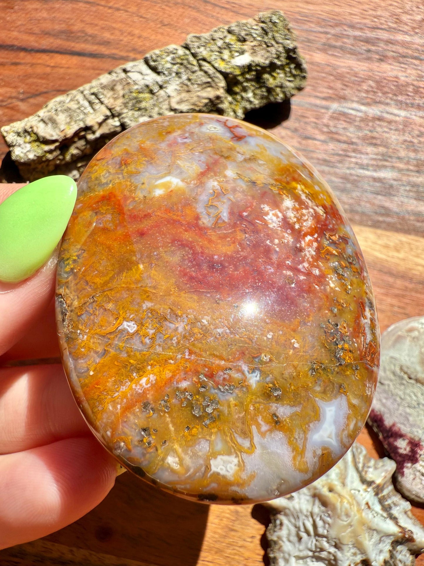 High Quality Agua Nueva Agate Palm Stone | Gift for Crystal Lover | Soothing Crystal | Grounding Crystal | Crystal Gift