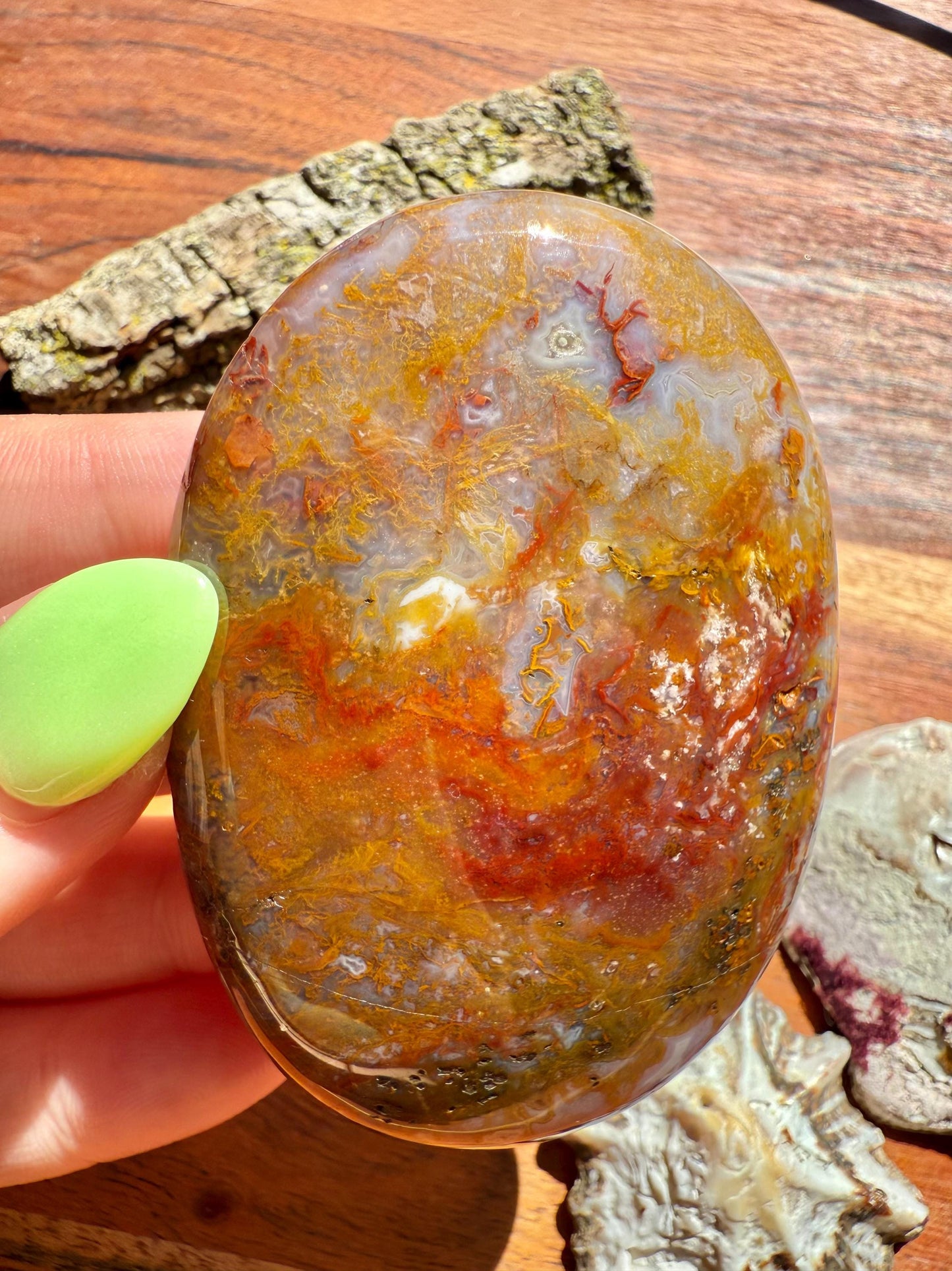 High Quality Agua Nueva Agate Palm Stone | Gift for Crystal Lover | Soothing Crystal | Grounding Crystal | Crystal Gift