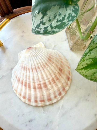 VINTAGE FRENCH BAKING SHELL DISH