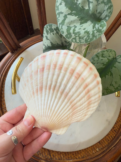 VINTAGE FRENCH BAKING SHELL DISH