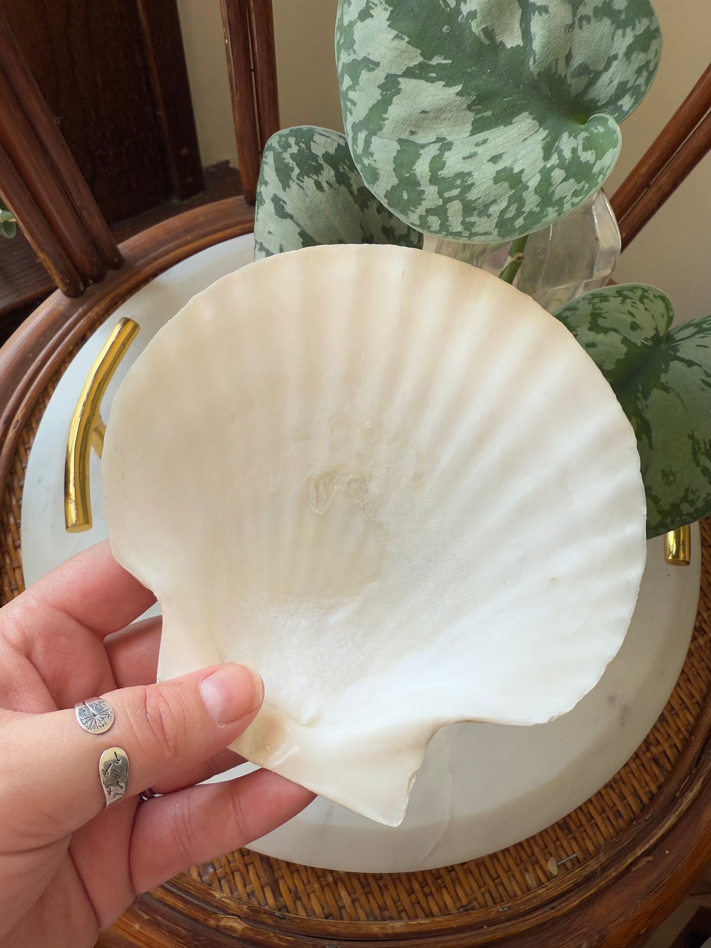 VINTAGE FRENCH BAKING SHELL DISH