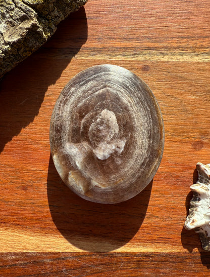 FLASHY LEPIDOLITE PALM STONE