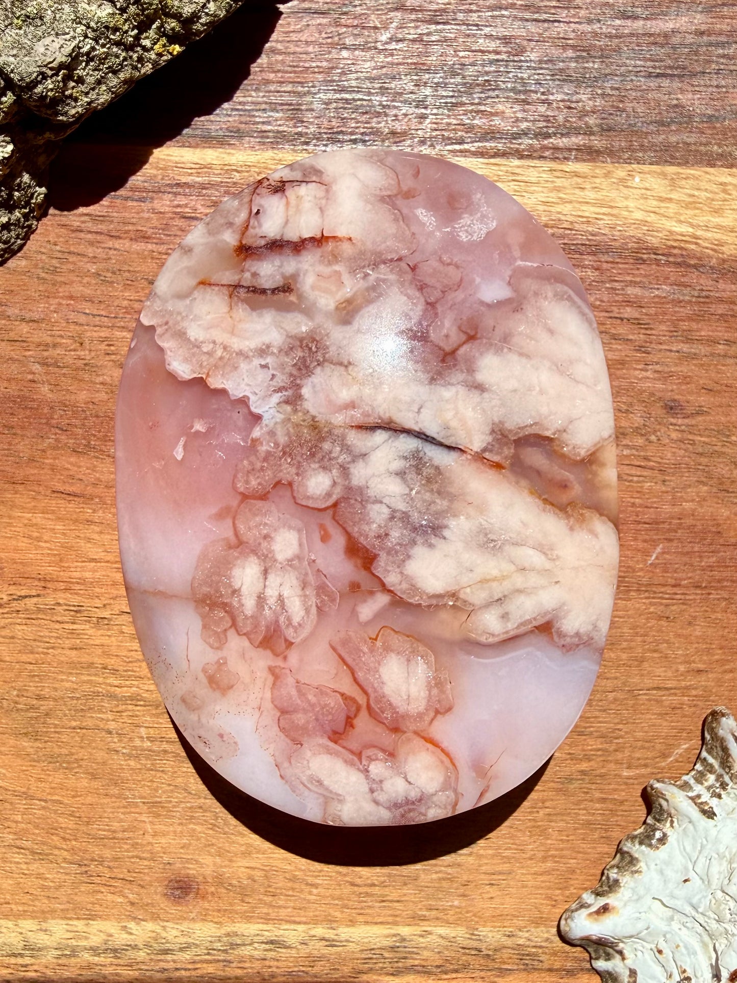 CARNELIAN FLOWER AGATE PALM STONE