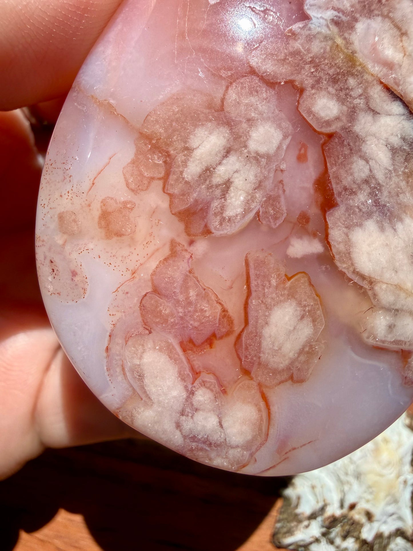 CARNELIAN FLOWER AGATE PALM STONE