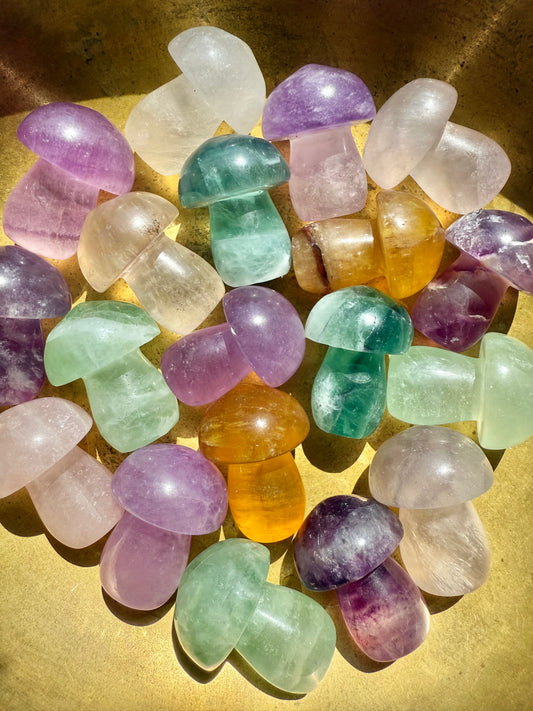 INTUITIVELY CHOSEN CANDY FLUORITE MUSHROOM CARVING [QTY. 1]