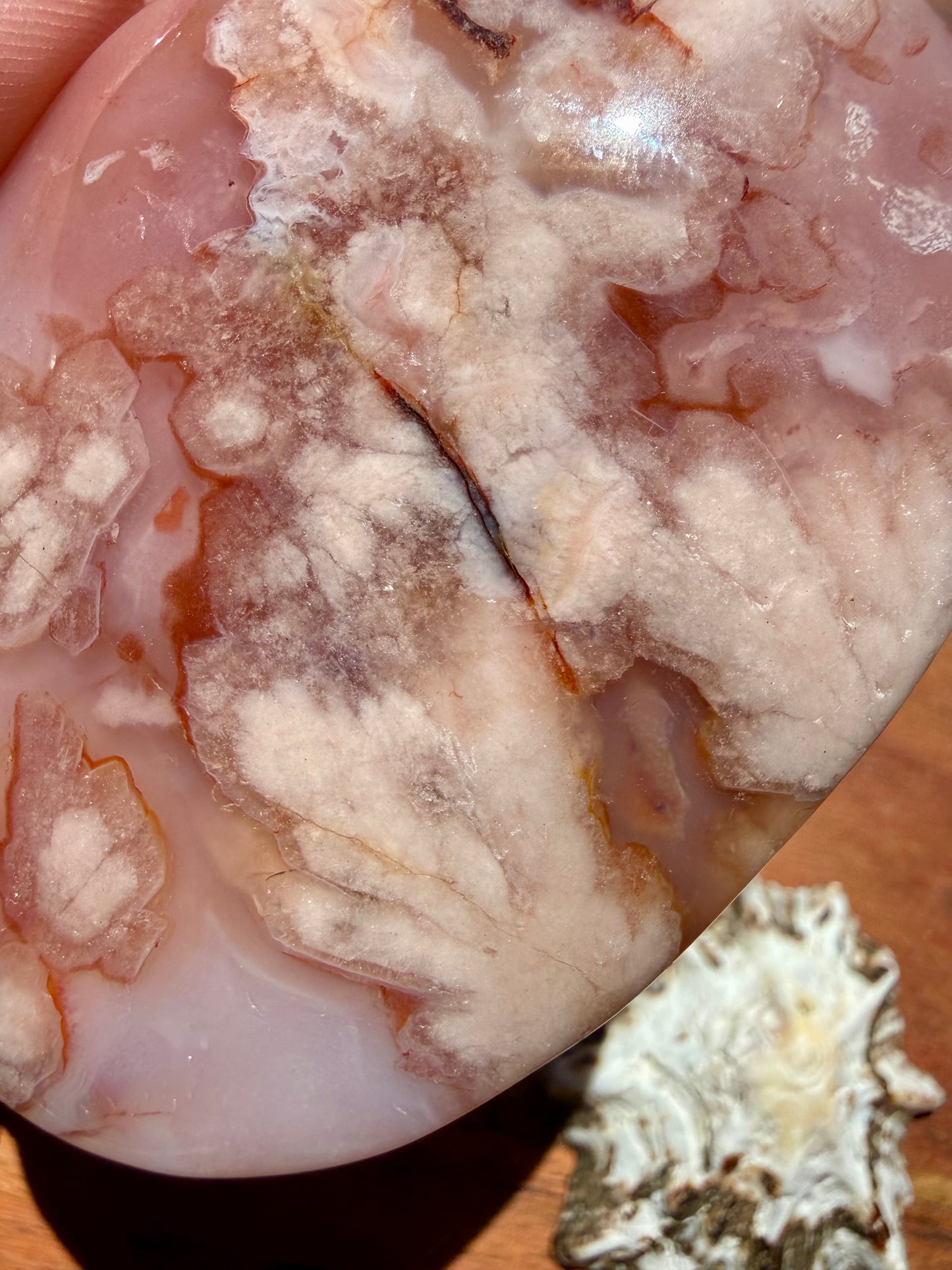 CARNELIAN FLOWER AGATE PALM STONE