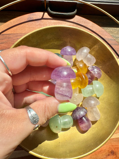 INTUITIVELY CHOSEN CANDY FLUORITE MUSHROOM CARVING [QTY. 1]