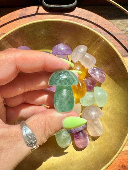 INTUITIVELY CHOSEN CANDY FLUORITE MUSHROOM CARVING [QTY. 1]