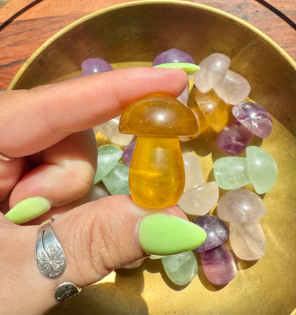INTUITIVELY CHOSEN CANDY FLUORITE MUSHROOM CARVING [QTY. 1]