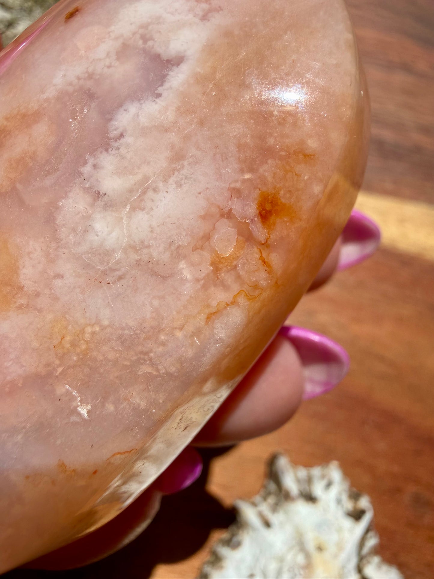 CARNELIAN FLOWER AGATE PALM STONE