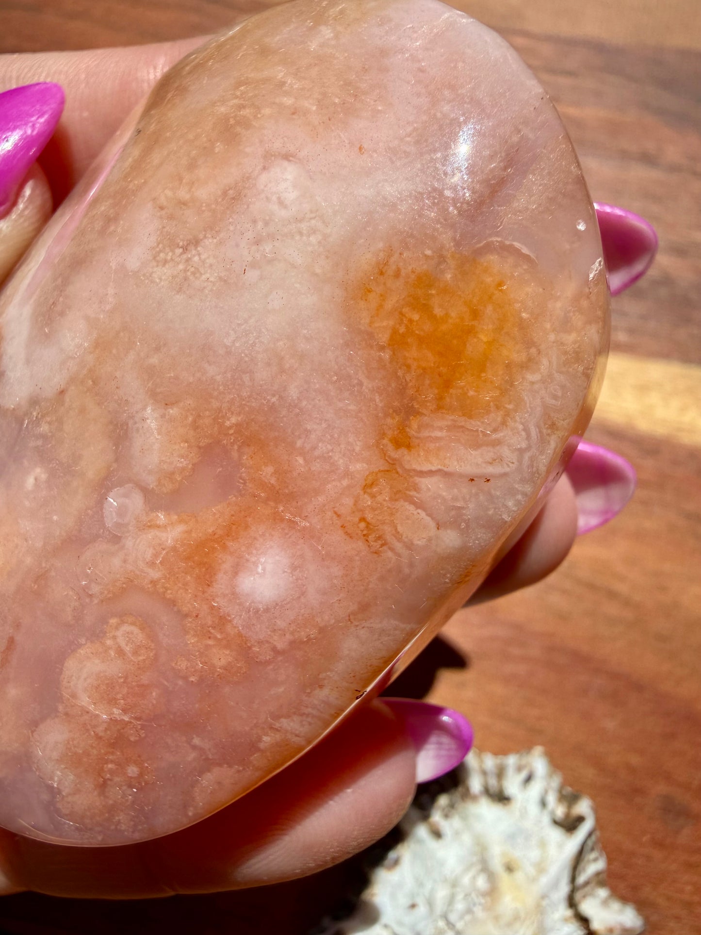 CARNELIAN FLOWER AGATE PALM STONE