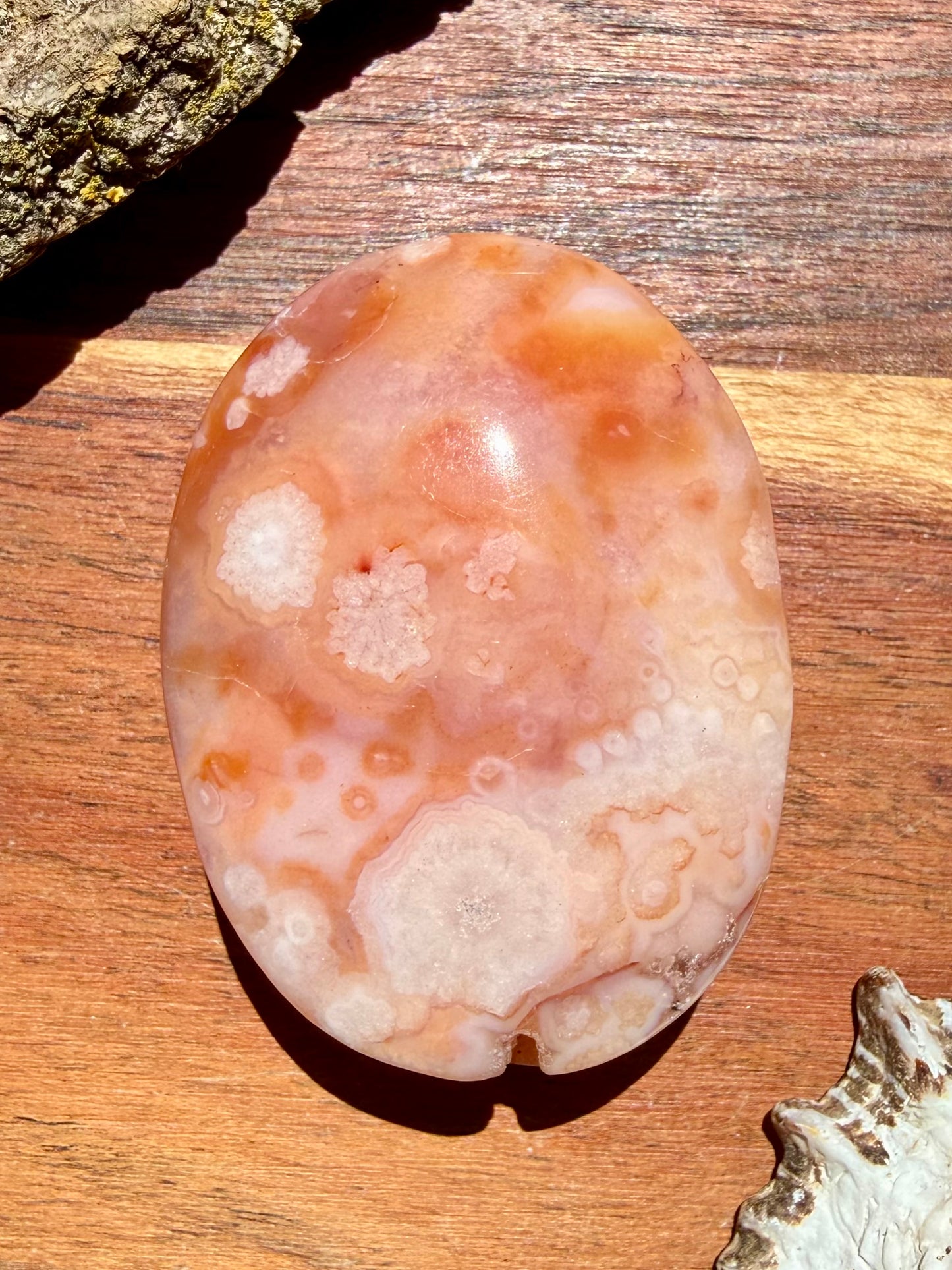 CARNELIAN FLOWER AGATE PALM STONE