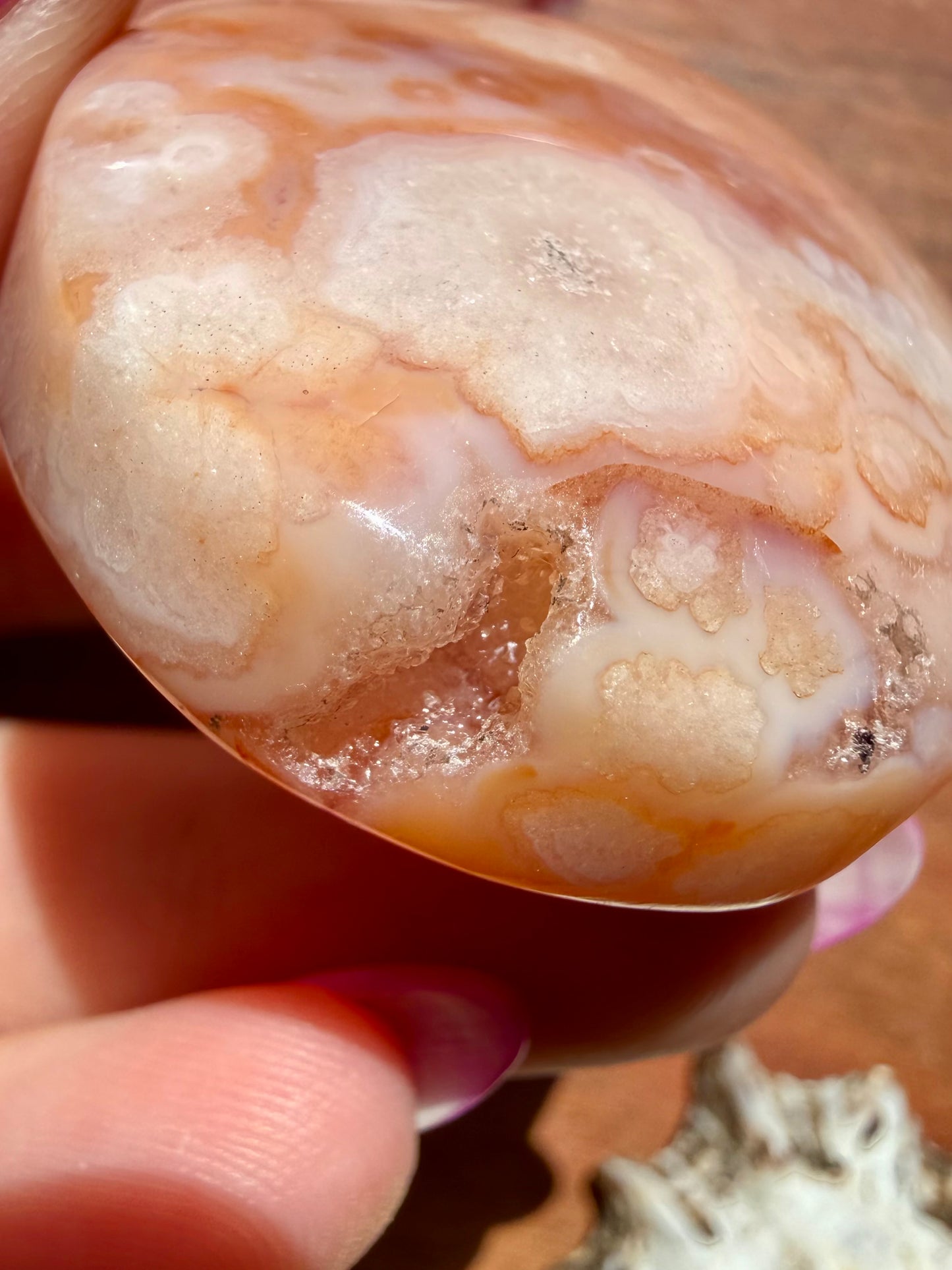 CARNELIAN FLOWER AGATE PALM STONE