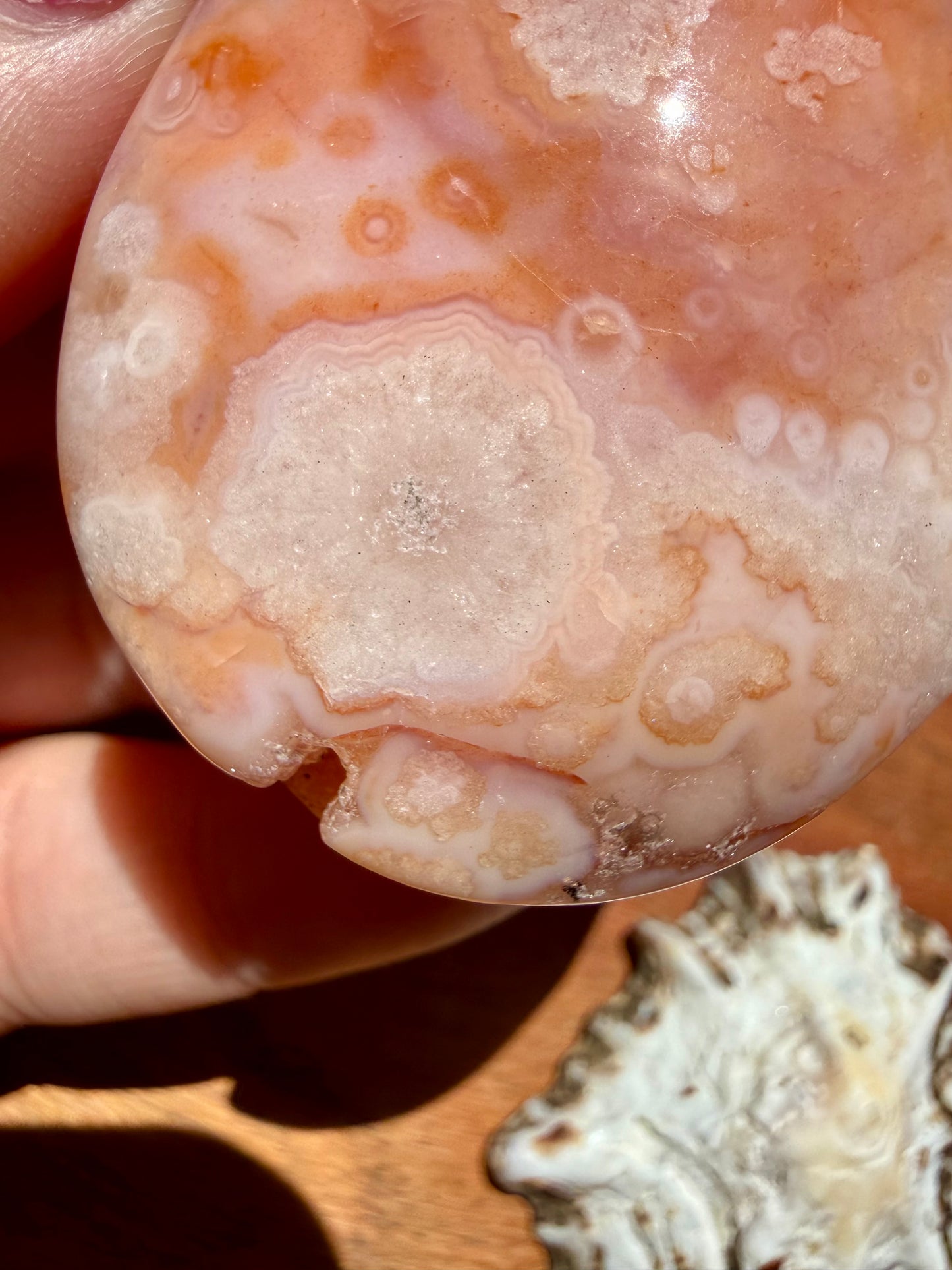 CARNELIAN FLOWER AGATE PALM STONE
