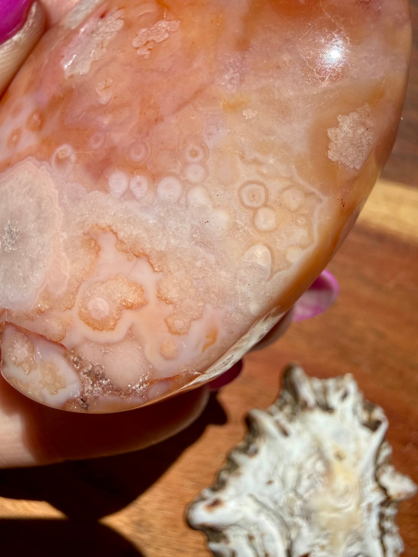 CARNELIAN FLOWER AGATE PALM STONE