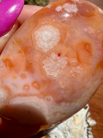 CARNELIAN FLOWER AGATE PALM STONE