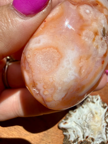 CARNELIAN FLOWER AGATE PALM STONE